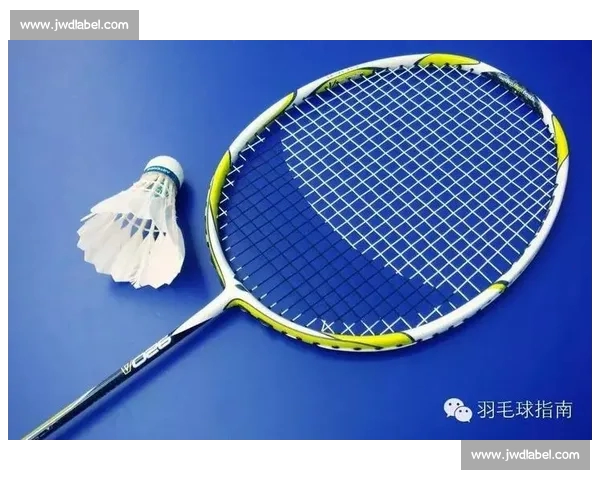 排球运动技巧与战术解析全面提升训练实战能力指南